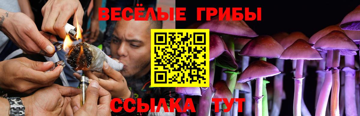 Кашира  Псилоцибиновые грибы ЛСД  Псилоцибиновые грибы MAGIC MUSHROOMS  Вход с VPN 